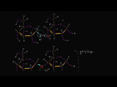 დეჰიდრატაციის სინთეზი ან კონდენსაციის რეაქცია